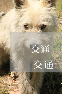 交通銀行信用卡逾期怎么調(diào)取(交通銀行逾期上征信了怎么讓銀行消除啊)