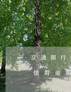交通銀行信用卡逾期怎樣辦理分期(交通銀行信用逾期3期可以協(xié)商分期嗎)