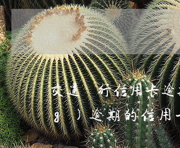 交通銀行信用卡逾期想辦分期(已經(jīng)逾期的信用卡如何辦理分期)