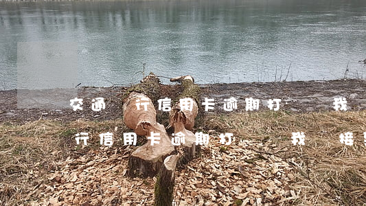 交通銀行信用卡逾期打電話我沒接-交通銀行信用卡逾期打電話我沒接到