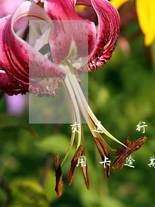 交通銀行信用卡逾期會起訴嗎(欠交通銀行信用卡逾期幾個月了會怎么辦)