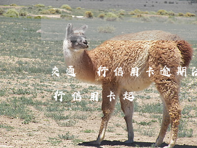 交通銀行信用卡逾期法務(wù)部(交通銀行信用卡 起訴)