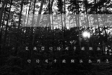 交通銀行信用卡逾期派出所怎么辦-交通銀行信用卡逾期派出所怎么辦理