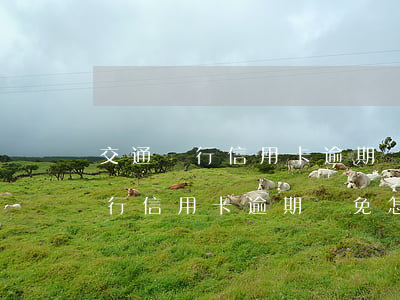 交通銀行信用卡逾期減免怎么證明-交通銀行信用卡逾期減免怎么證明逾期了