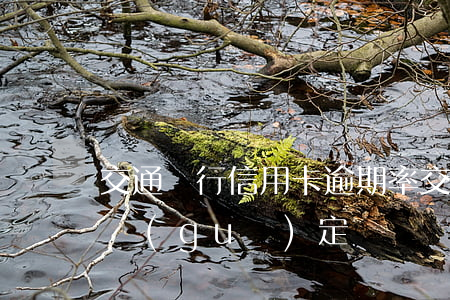 交通銀行信用卡逾期率(交通銀行卡最新逾期規(guī)定)