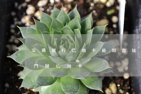 交通銀行信用卡逾期直接上門-交通銀行上門辦信用卡