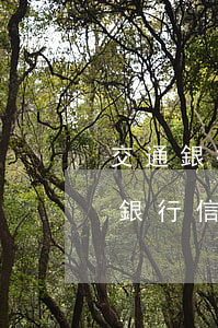 交通銀行信用卡逾期經(jīng)歷(交通銀行信用卡逾期多年)