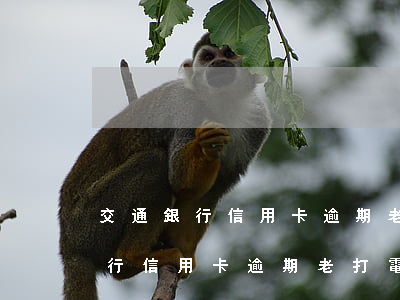交通銀行信用卡逾期老打電話過來-交通銀行信用卡逾期老打電話過來怎么辦