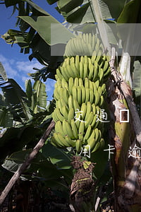 交通銀行信用卡逾期處理方法(欠交通銀行信用卡逾期幾個月了會怎么辦)