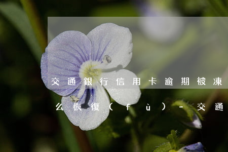 交通銀行信用卡逾期被凍結(jié)了怎么恢復(fù)-交通銀行信用卡逾期被凍結(jié)了怎么恢復(fù)正常