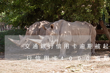 交通銀行信用卡逾期被起訴怎么辦(欠交通銀行信用卡4000逾期兩年會被起訴嗎)