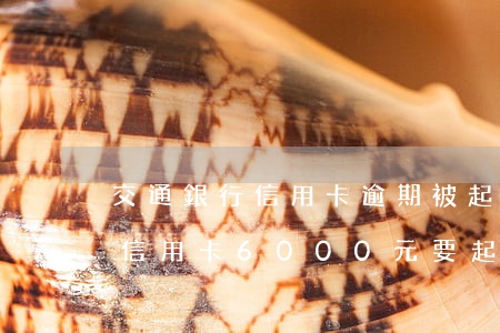 交通銀行信用卡逾期被起訴賠償(欠交通銀行信用卡6000元,要起訴我怎么辦)