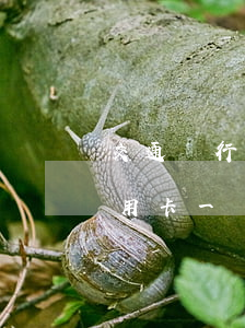 交通銀行信用卡逾期要被起訴(欠交通銀行信用卡一萬(wàn)多現(xiàn)在被起訴了)