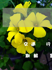 交通銀行信用卡逾期解釋(交通銀行信用卡逾期解釋是什么)