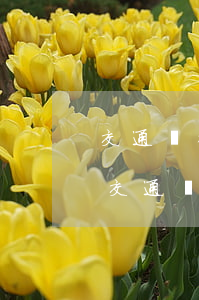 交通銀行信用卡逾期說(shuō)起訴(欠交通銀行信用卡一萬(wàn)多現(xiàn)在被起訴了)