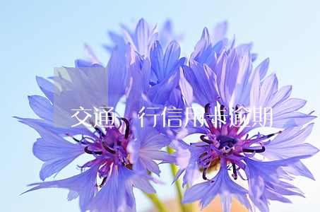 交通銀行信用卡逾期論壇(交通銀行信用卡投訴)
