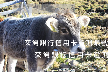 交通銀行信用卡逾期賬號(hào)被管控-交通銀行信用卡逾期賬號(hào)被管控怎么辦