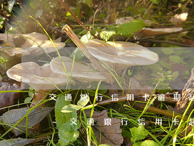 交通銀行信用卡逾期起訴到開庭要多長時間-交通銀行信用卡 起訴
