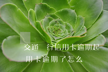 交通銀行信用卡逾期起訴案例(交通銀行的信用卡逾期了怎么辦)