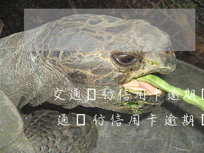 交通銀行信用卡逾期辦理儲蓄卡能辦嗎-交通銀行信用卡逾期辦理儲蓄卡能辦嗎