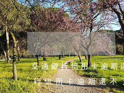 交通銀行信用卡逾期還不了被起訴-交通銀行信用卡逾期還不了被起訴怎么辦