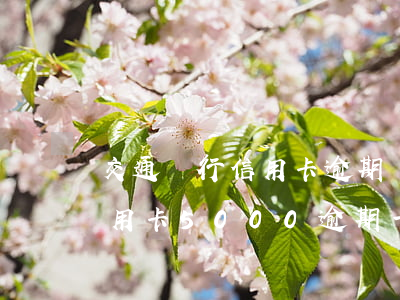 交通銀行信用卡逾期還不起怎樣(交通銀行信用卡5000逾期一年多會(huì)怎么樣)