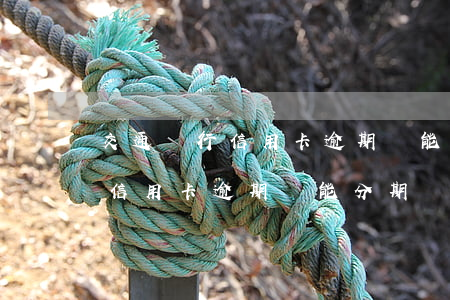交通銀行信用卡逾期還能分期嗎-交通銀行信用卡逾期還能分期嗎