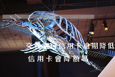 交通銀行信用卡逾期降低額度嗎(征信逾期后信用卡會降額嗎)