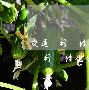 交通銀行個性化分期困難證明怎么寫-交通銀行個性化分期困難證明怎么寫的