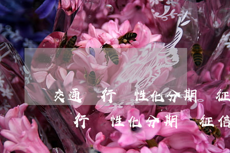 交通銀行個性化分期對征信有影響嗎-交通銀行個性化分期對征信有影響嗎