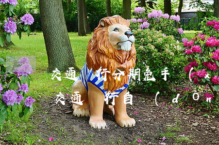 交通銀行分期免手續(xù)費(fèi)（交通銀行自動(dòng)分期免息）