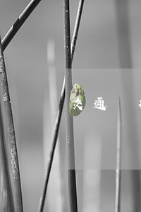 交通銀行協(xié)商還款時(shí)間