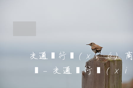 交通銀行協(xié)商還款申請后多久回復-交通銀行協(xié)商還款申請后多久回復征信