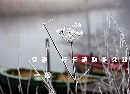 交通銀行卡逾期多久起訴(交通銀行逾期幾天一周)