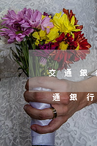 交通銀行怎么協(xié)商分期還款-交通銀行怎么協(xié)商分期還款的