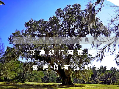 交通銀行惠民貸有逾期怎么消除-交通銀行惠民貸有逾期怎么消除記錄