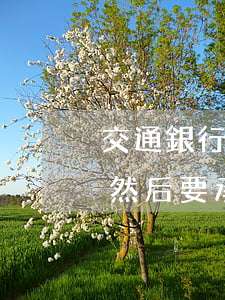 交通銀行惡意逾期還款(我在交通銀行逾期了 然后 要承擔(dān)什么責(zé)任)