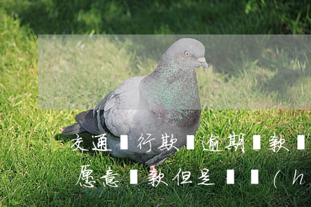 交通銀行欺騙逾期還款戶(交通銀行欠款3萬愿意還款但是這會(huì)困難)
