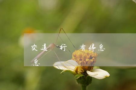 交通銀行沒有停息掛賬嗎(交通銀行有沒有停息掛賬)