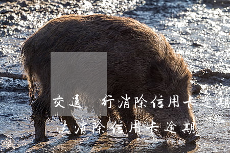 交通銀行消除信用卡逾期記錄嗎-有什么辦法消除信用卡逾期記錄
