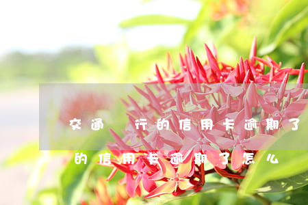 交通銀行的信用卡逾期了怎么辦-交通銀行的信用卡逾期了怎么辦理