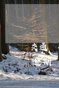 交通銀行的信用卡逾期了怎么辦（交通信用卡逾期讓我準(zhǔn)備材料）