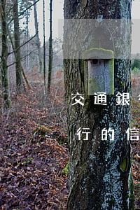 交通銀行的信用卡逾期了怎么辦呢-交通銀行的信用卡逾期了怎么辦呢還能用嗎