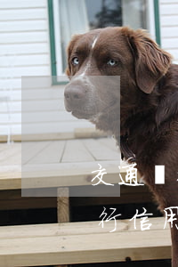 交通銀行貸款20萬(wàn)逾期(交通銀行信用卡逾期二十天會(huì))