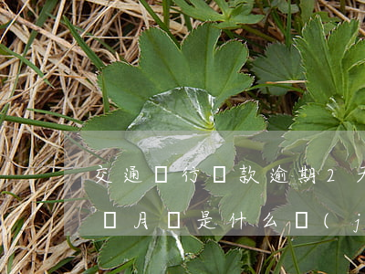 交通銀行貸款逾期2天(交通銀行貸款逾期四個月會是什么結(jié)果)