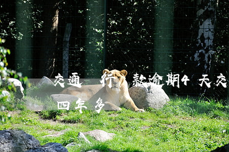 交通銀行貸款逾期4天(交通銀行信用卡逾期四年多)
