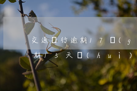 交通銀行逾期17個(gè)月(交通銀行逾期15天會(huì)打電話通知家人嗎)