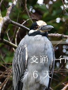 交通銀行逾期3個月被起訴(交通銀行逾期16天)