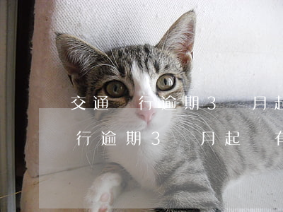 交通銀行逾期3個月起訴有影響嗎-交通銀行逾期3個月起訴有影響嗎知乎