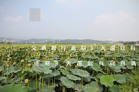 交通銀行逾期3天還款有利息嗎-交通銀行逾期3天還款有利息嗎多少